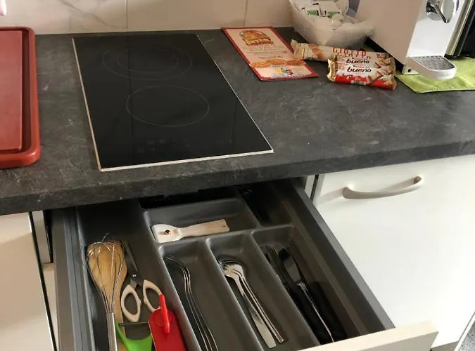 Apartment By Mario Interlaken